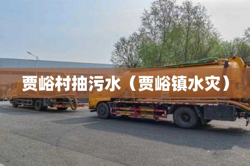 贾峪村抽污水（贾峪镇水灾）