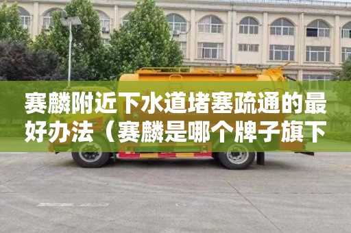 赛麟附近下水道堵塞疏通的最好办法（赛麟是哪个牌子旗下的）