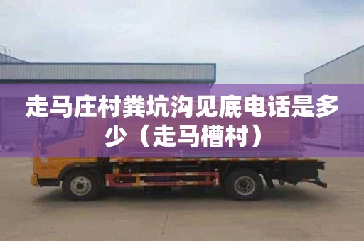 走马庄村粪坑沟见底电话是多少（走马槽村）