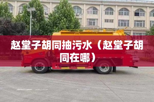 赵堂子胡同抽污水（赵堂子胡同在哪）