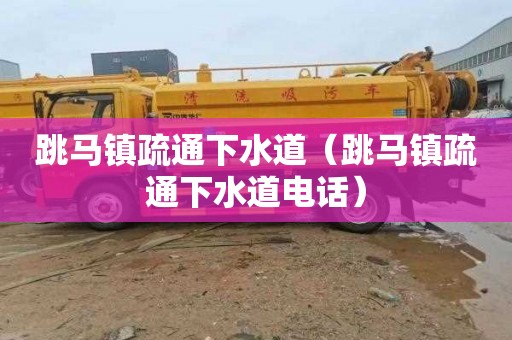 跳马镇疏通下水道（跳马镇疏通下水道电话）