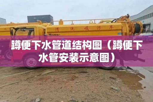 蹲便下水管道结构图（蹲便下水管安装示意图）