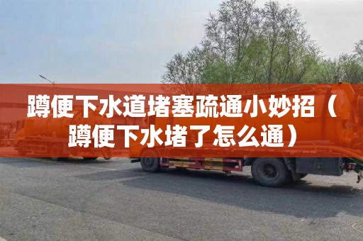 蹲便下水道堵塞疏通小妙招（蹲便下水堵了怎么通）