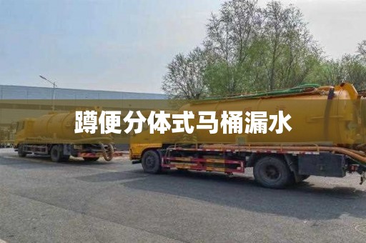 蹲便分体式马桶漏水