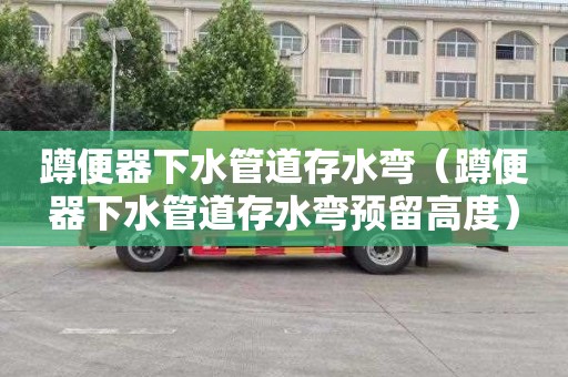 蹲便器下水管道存水弯（蹲便器下水管道存水弯预留高度）