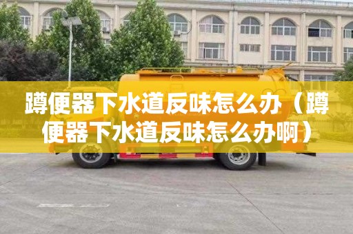 蹲便器下水道反味怎么办（蹲便器下水道反味怎么办啊）