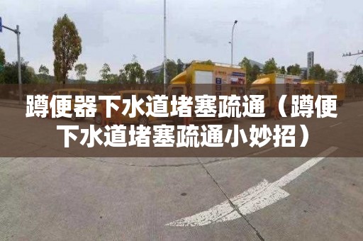 蹲便器下水道堵塞疏通（蹲便下水道堵塞疏通小妙招）