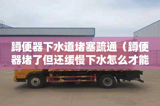 蹲便器下水道堵塞疏通（蹲便器堵了但还缓慢下水怎么才能疏通）