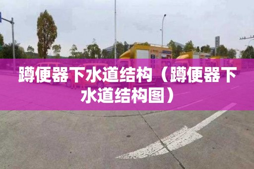 蹲便器下水道结构（蹲便器下水道结构图）