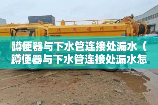 蹲便器与下水管连接处漏水（蹲便器与下水管连接处漏水怎么办）