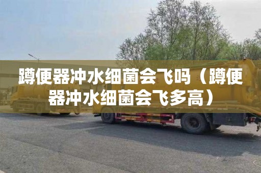 蹲便器冲水细菌会飞吗（蹲便器冲水细菌会飞多高）