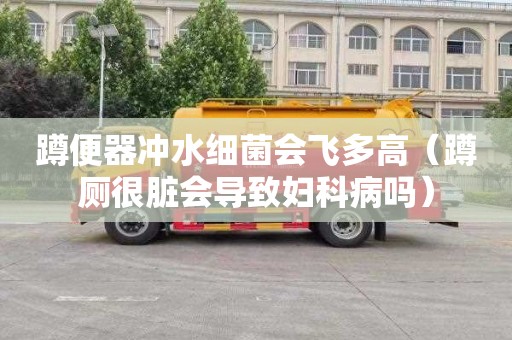 蹲便器冲水细菌会飞多高（蹲厕很脏会导致妇科病吗）