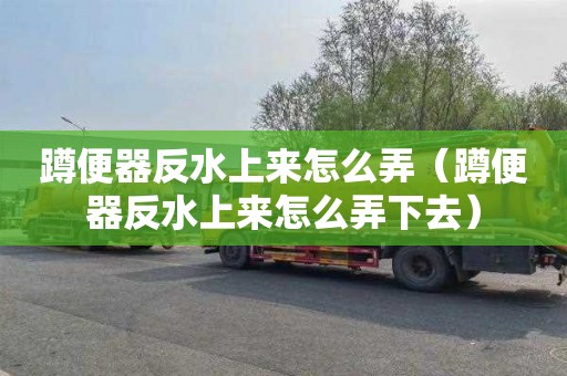 蹲便器反水上来怎么弄（蹲便器反水上来怎么弄下去）
