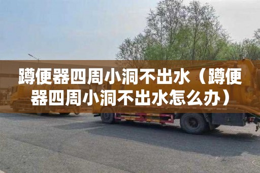 蹲便器四周小洞不出水（蹲便器四周小洞不出水怎么办）