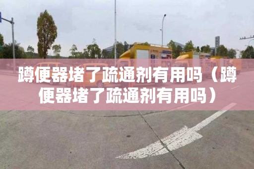 蹲便器堵了疏通剂有用吗（蹲便器堵了疏通剂有用吗）