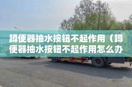 蹲便器抽水按钮不起作用（蹲便器抽水按钮不起作用怎么办）