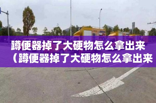 蹲便器掉了大硬物怎么拿出来（蹲便器掉了大硬物怎么拿出来视频）