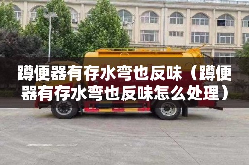 蹲便器有存水弯也反味（蹲便器有存水弯也反味怎么处理）