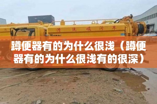 蹲便器有的为什么很浅（蹲便器有的为什么很浅有的很深）