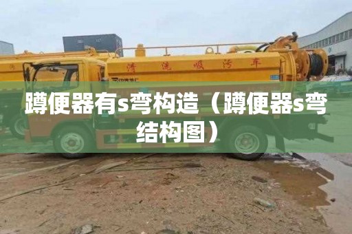 蹲便器有s弯构造（蹲便器s弯结构图）