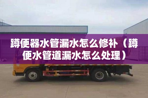 蹲便器水管漏水怎么修补（蹲便水管道漏水怎么处理）
