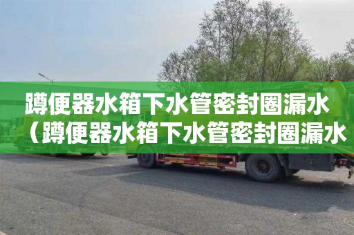 蹲便器水箱下水管密封圈漏水（蹲便器水箱下水管密封圈漏水怎么办）