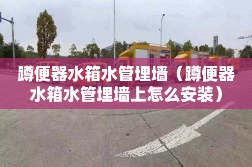蹲便器水箱水管埋墙（蹲便器水箱水管埋墙上怎么安装）