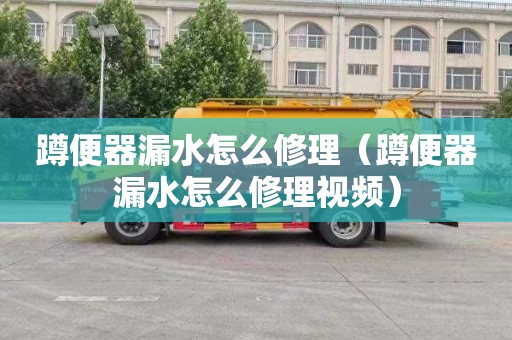 蹲便器漏水怎么修理（蹲便器漏水怎么修理视频）