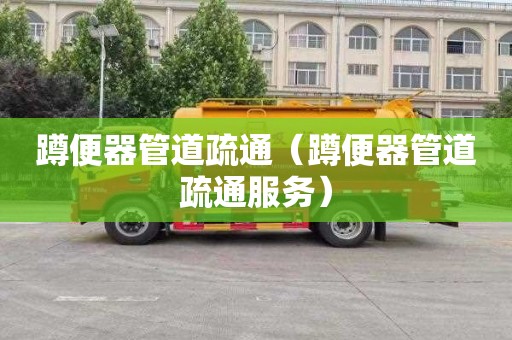 蹲便器管道疏通（蹲便器管道疏通服务）