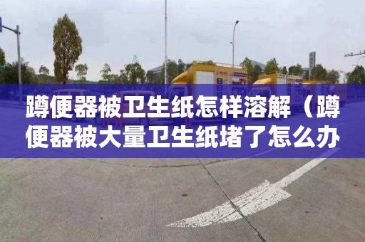 蹲便器被卫生纸怎样溶解（蹲便器被大量卫生纸堵了怎么办）