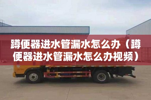 蹲便器进水管漏水怎么办（蹲便器进水管漏水怎么办视频）