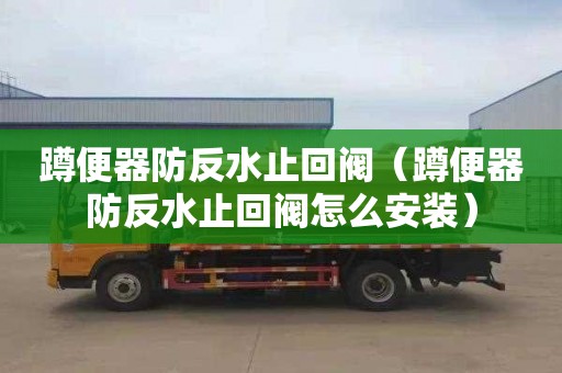 蹲便器防反水止回阀（蹲便器防反水止回阀怎么安装）