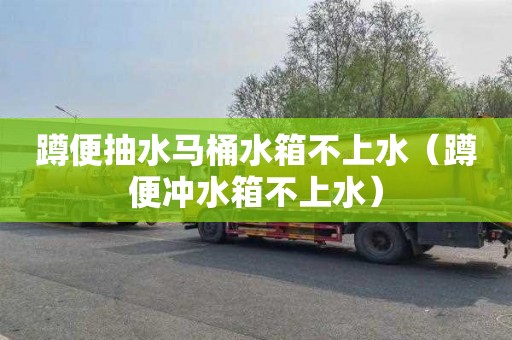 蹲便抽水马桶水箱不上水（蹲便冲水箱不上水）