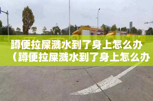 蹲便拉屎溅水到了身上怎么办（蹲便拉屎溅水到了身上怎么办呢）
