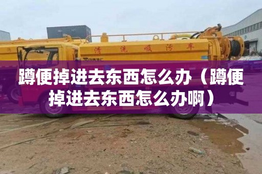 蹲便掉进去东西怎么办（蹲便掉进去东西怎么办啊）