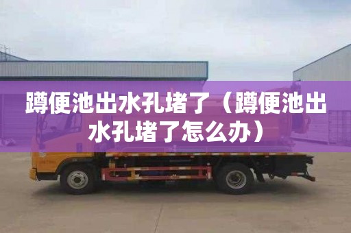 蹲便池出水孔堵了（蹲便池出水孔堵了怎么办）