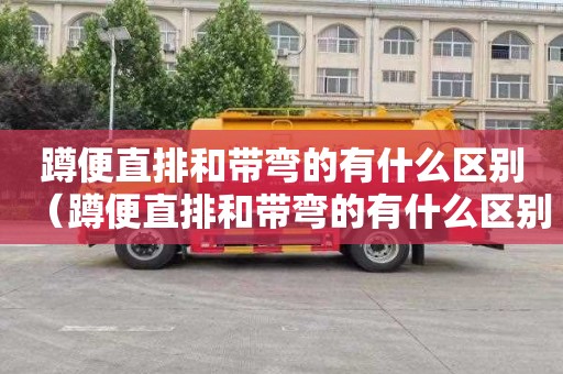蹲便直排和带弯的有什么区别（蹲便直排和带弯的有什么区别图片）