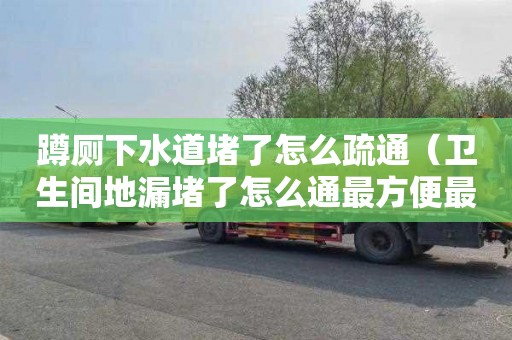 蹲厕下水道堵了怎么疏通（卫生间地漏堵了怎么通最方便最快）
