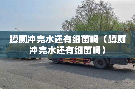 蹲厕冲完水还有细菌吗（蹲厕冲完水还有细菌吗）