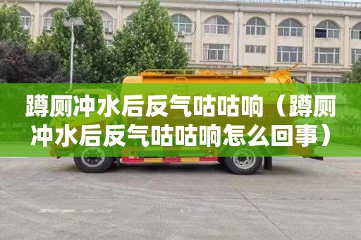 蹲厕冲水后反气咕咕响（蹲厕冲水后反气咕咕响怎么回事）
