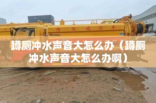 蹲厕冲水声音大怎么办（蹲厕冲水声音大怎么办啊）