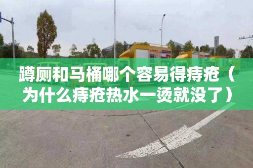 蹲厕和马桶哪个容易得痔疮（为什么痔疮热水一烫就没了）