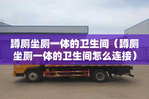蹲厕坐厕一体的卫生间（蹲厕坐厕一体的卫生间怎么连接）