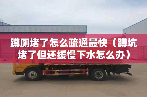 蹲厕堵了怎么疏通最快（蹲坑堵了但还缓慢下水怎么办）