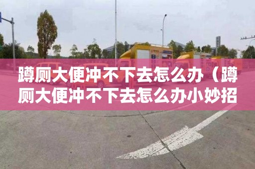 蹲厕大便冲不下去怎么办（蹲厕大便冲不下去怎么办小妙招）
