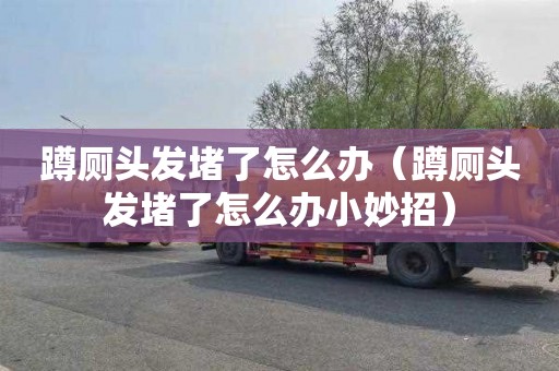 蹲厕头发堵了怎么办（蹲厕头发堵了怎么办小妙招）