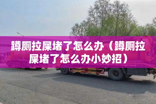 蹲厕拉屎堵了怎么办（蹲厕拉屎堵了怎么办小妙招）