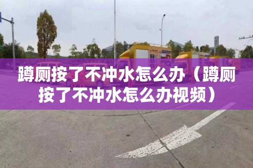 蹲厕按了不冲水怎么办（蹲厕按了不冲水怎么办视频）