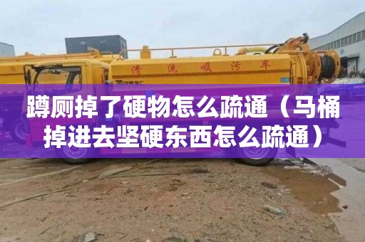 蹲厕掉了硬物怎么疏通（马桶掉进去坚硬东西怎么疏通）