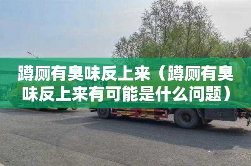 蹲厕有臭味反上来（蹲厕有臭味反上来有可能是什么问题）